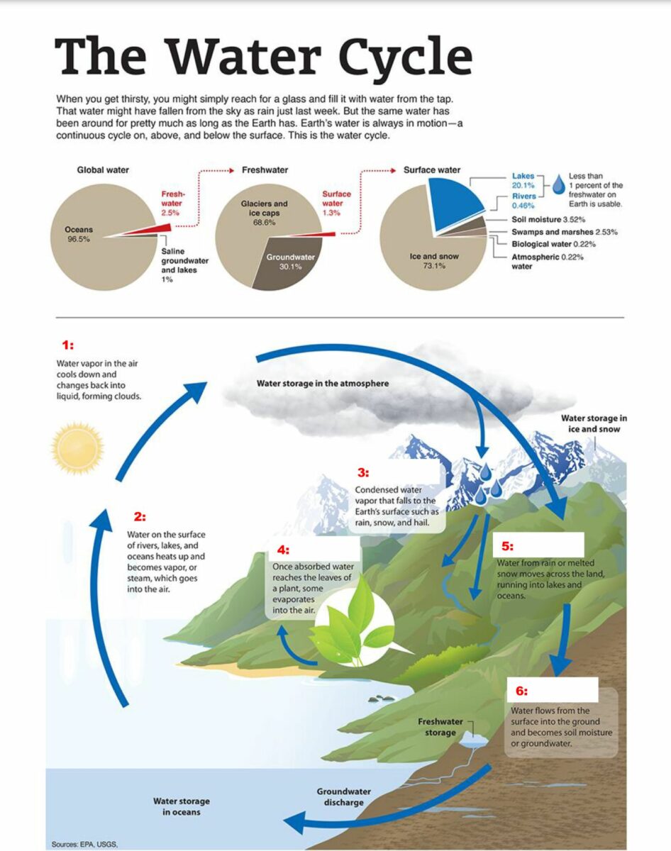 Инфографика про круговорот воды в природе