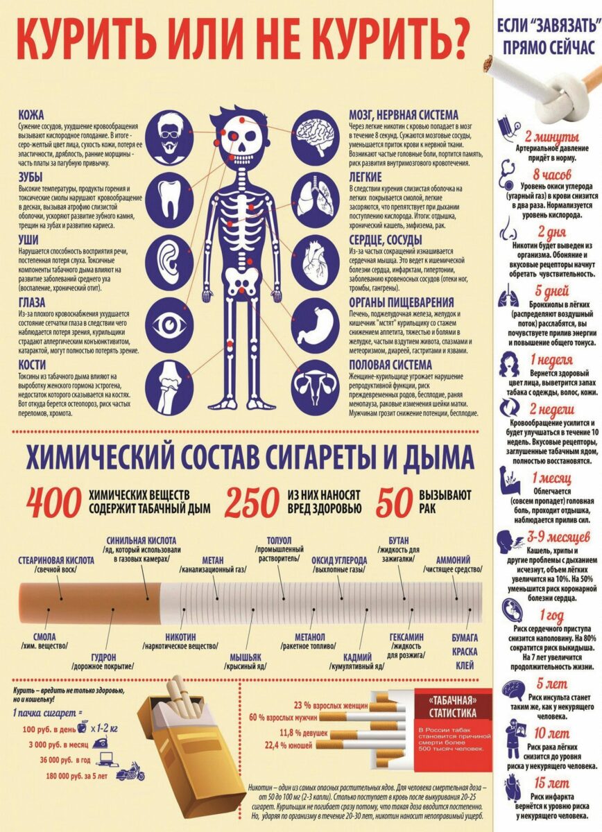 Инфографика с огромным количеством текста про курение