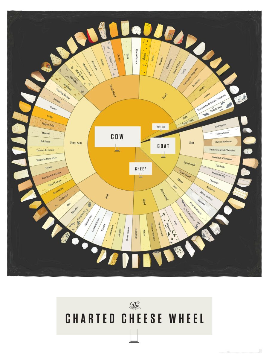 Инфографика про виды сыра