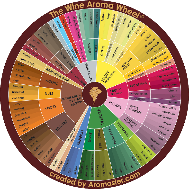Инфографика про вино